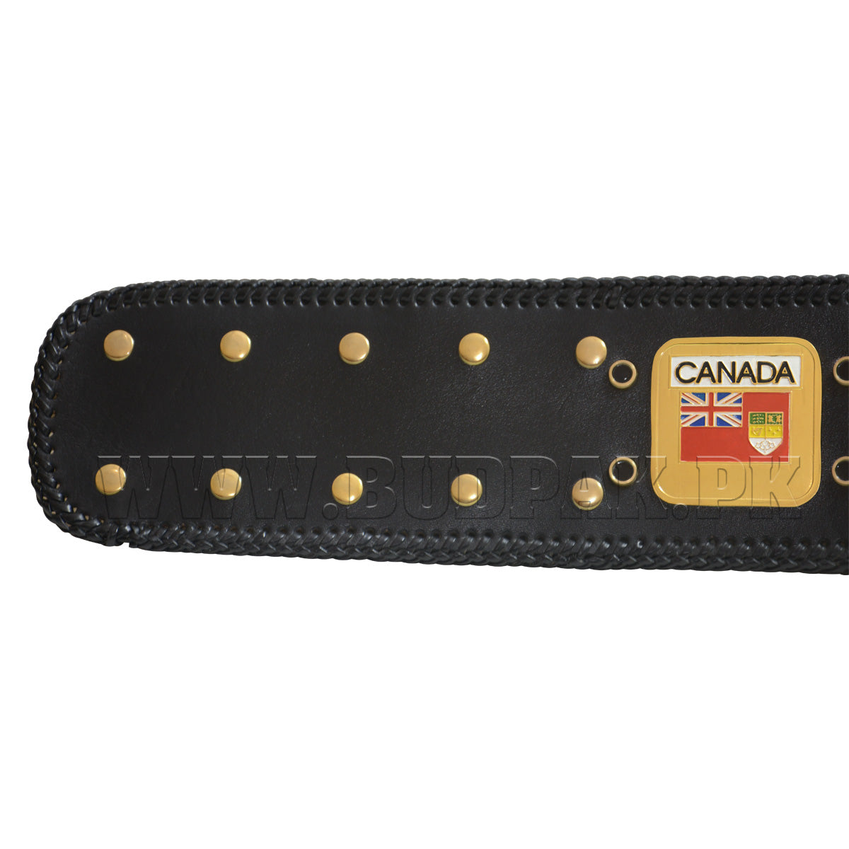 NWA Domed Globe World Wrestling Championship Replica Tittle Belt