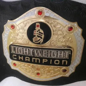 MMA UFC Bellator Kickboxing World Championship Belt