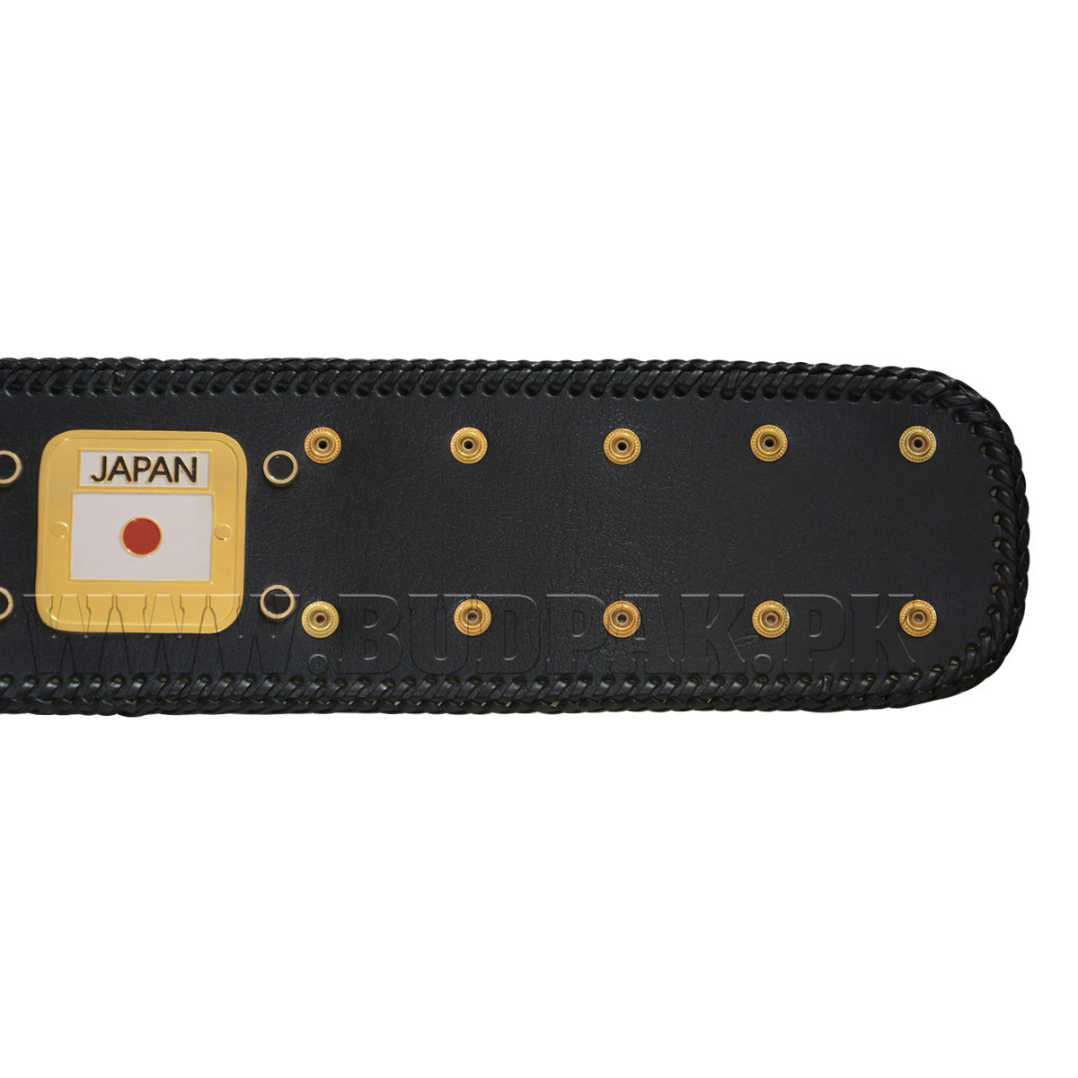 NWA Domed Globe World Wrestling Championship Replica Tittle Belt