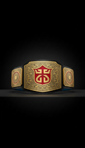 UK Exclusive Collector's Edition Red Trim Belt