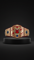Tag Team Champion Dual-Plate Belt