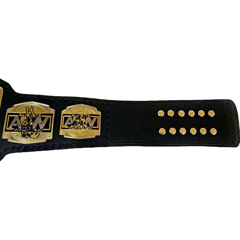 AEW World Tag Team Championship Belt
