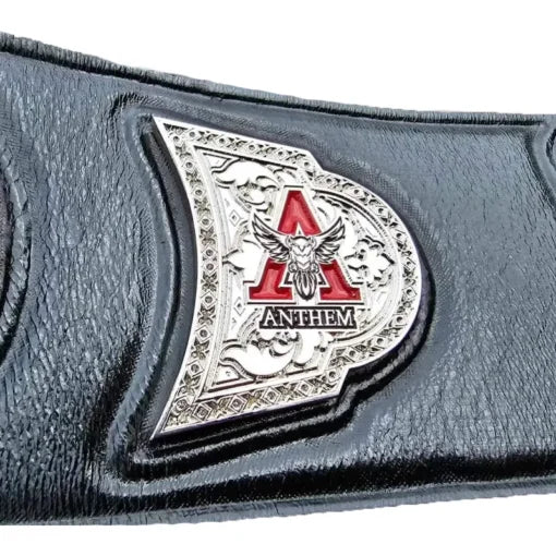 TNA X-DIVISION Championship Belt