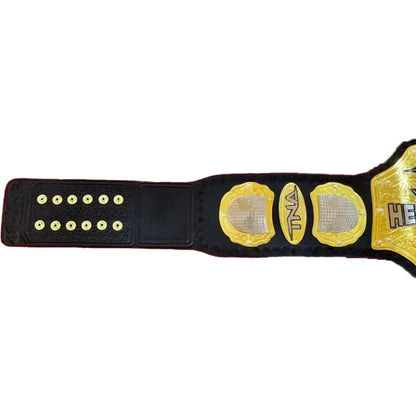 TNA World Heavyweight Championship Belt
